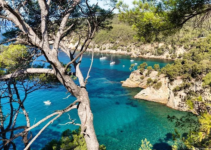 Studio Bandol