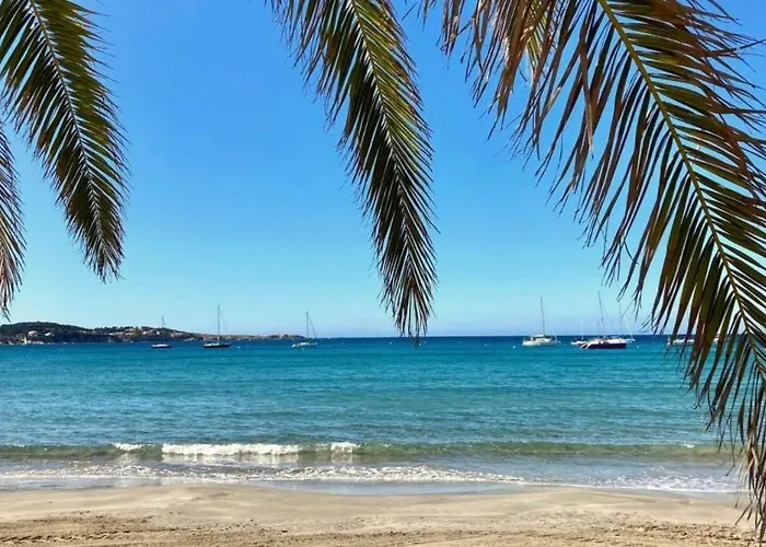 Studio Bandol