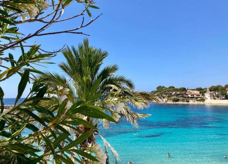 Apartment Studio Bandol Bandol