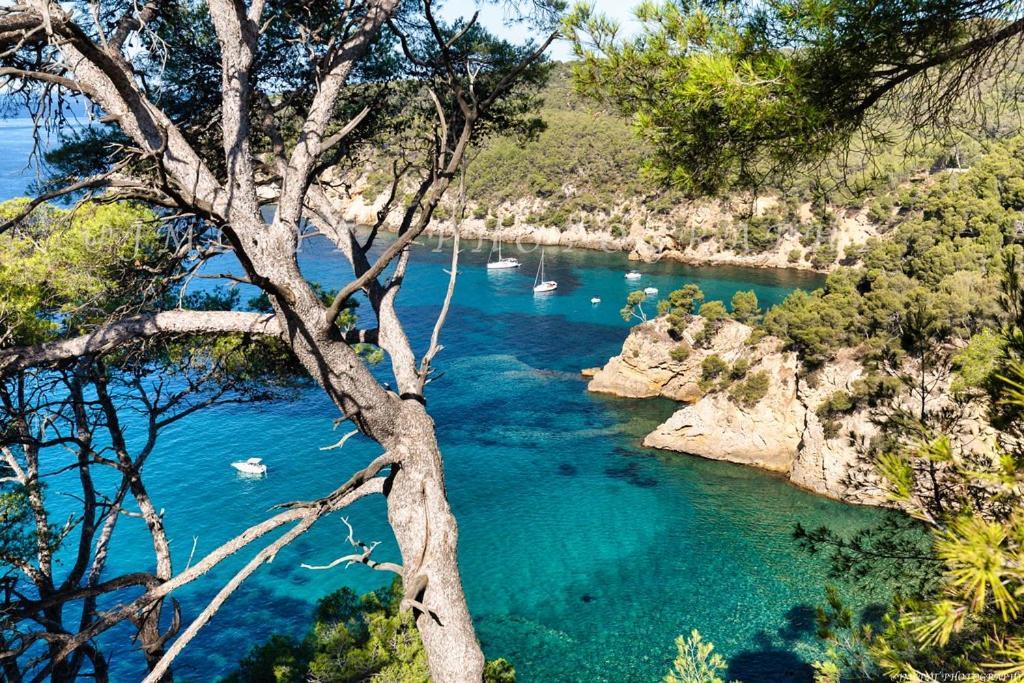 Studio Bandol * Bandol